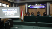 IMG_2033_Large.JPG