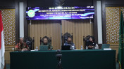 IMG_2034_Large.JPG